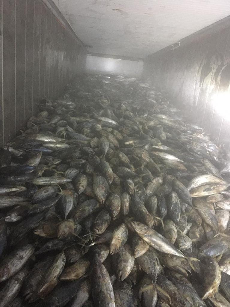 الحرس الديواني بالقيروان يحجز  25 طنا من السمك المهرب